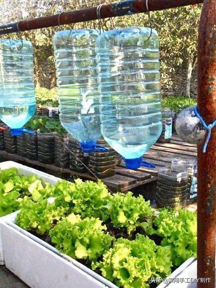 旧物利用改造技巧塑料瓶,简单的旧物改造塑料瓶高清图片