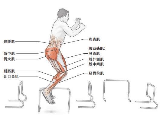 短跨栏的训练方法和技巧,如何提高下肢爆发力