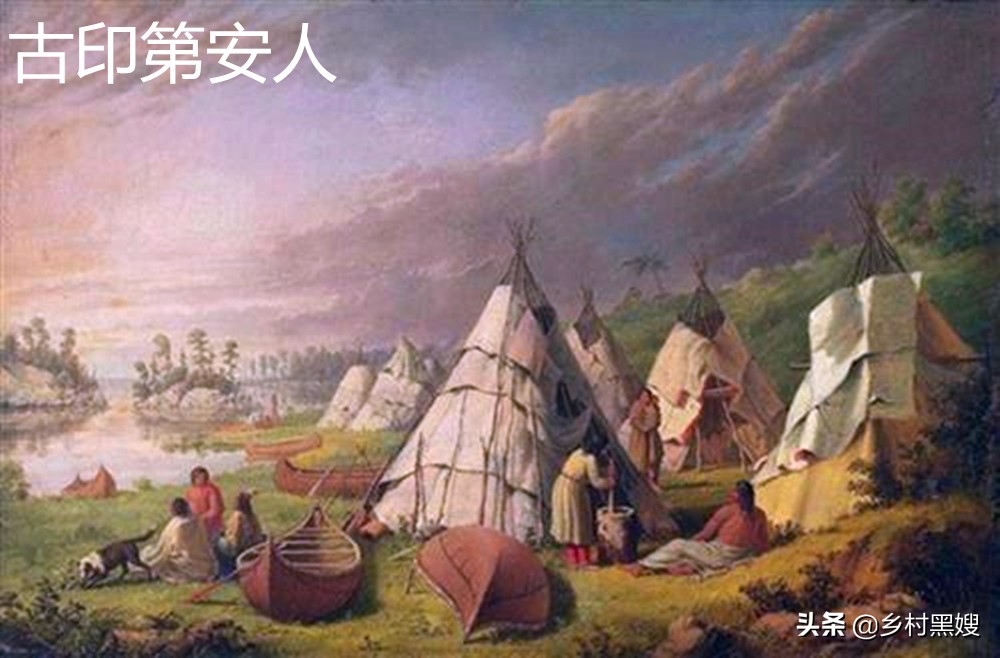 土豆为什么是第四大粮食作物,土豆祖先是什么