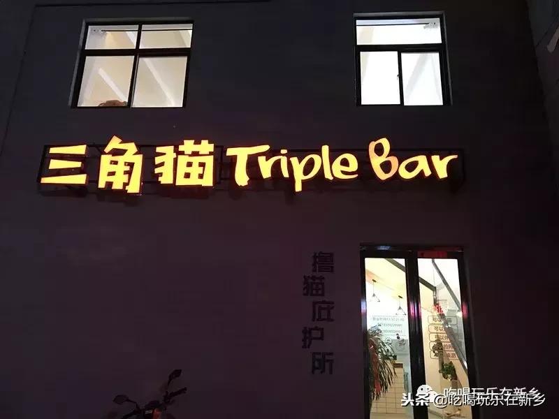 猫主子驾到,猫咪主子驾到