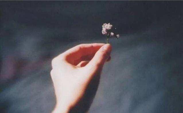 婆媳之间怎么能相处得非常融洽,家庭婆媳之间相处的技巧