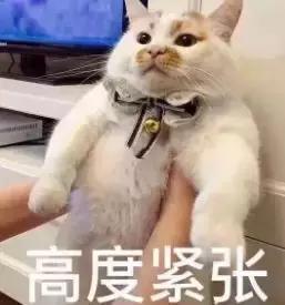 孩子期末考试成绩不理想家长反思,小学生考试不及格被家长骂报警
