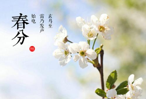 在西周结婚可不是件简单的事情，看看贵族们是怎么玩的