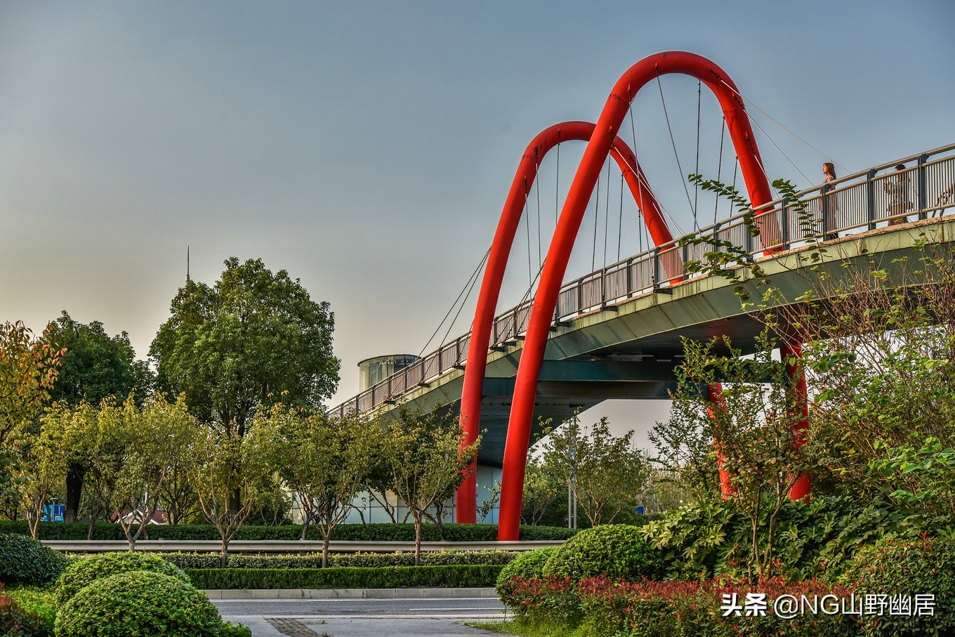 江苏南京：明明可以靠网红上头条，却偏偏靠实力说话