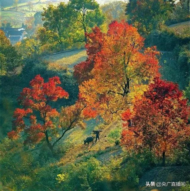适合小住的十四个旅行小镇,适合小住一个月的旅游景点