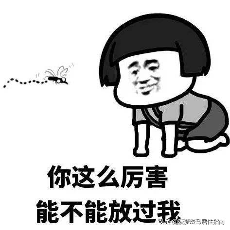 日本驱蚊神器户外品牌排行榜,日本原装驱蚊神器好用吗