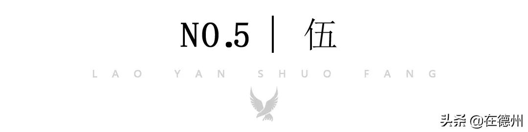刚刚，德州新地王登基！东海制造！单价高达1113万/亩