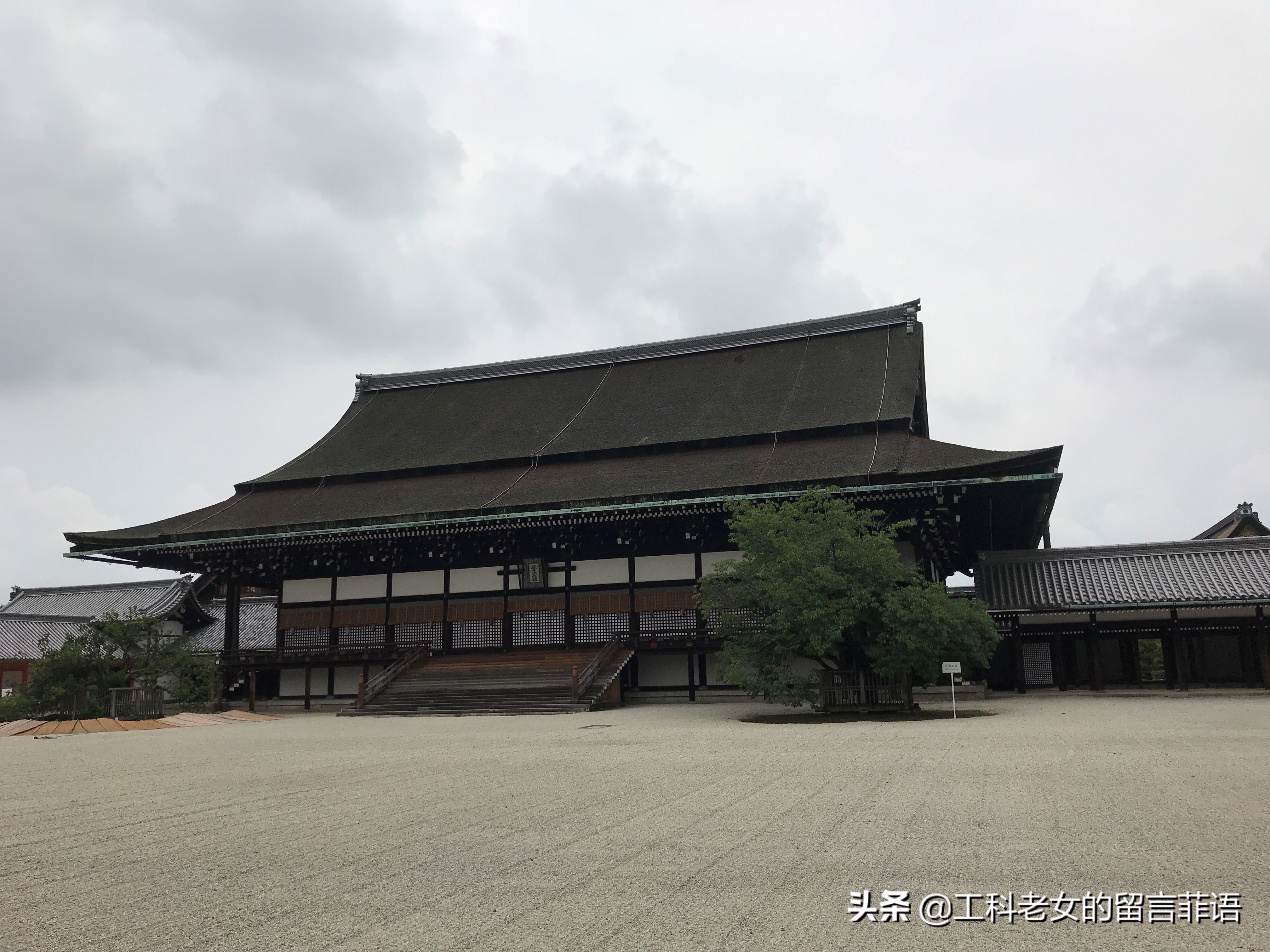 夏天去京都注意哪些事项,盛夏去哪玩