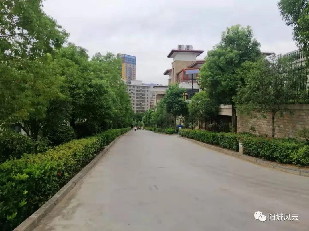 孔少艾：“锦园山水”征文一一一人往高处走