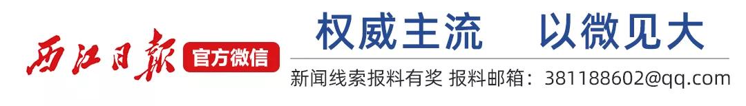 年收入翻了8倍多！肇庆这条村是怎么做到的？
