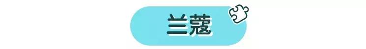 圣诞彩妆限定大盘点看完绝不买错,合集今年我买了哪些圣诞限量彩妆