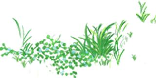 三月的南江春意盎然，湖光山色两相和，玉湖此时春正好，走起哦