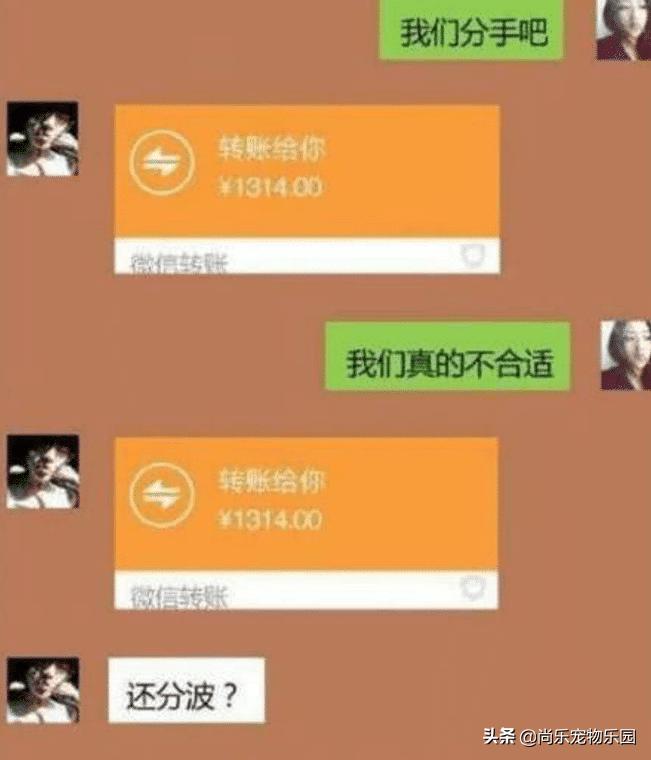 趁姐夫洗澡，把他手机里我名字改了