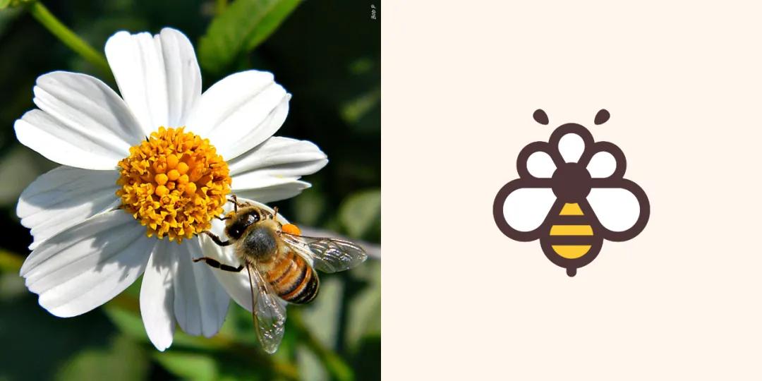 保姆式讲解一张图片做一个logo