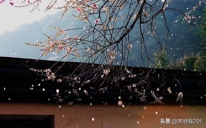 南乡子冯延巳表达了什么,冯延巳南乡子细雨湿流光