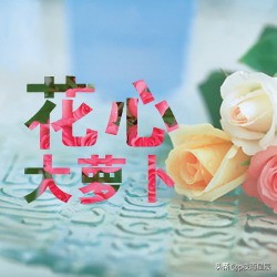如何将矢量蒙版转为图层蒙版,ps剪切蒙版和图层蒙版海报