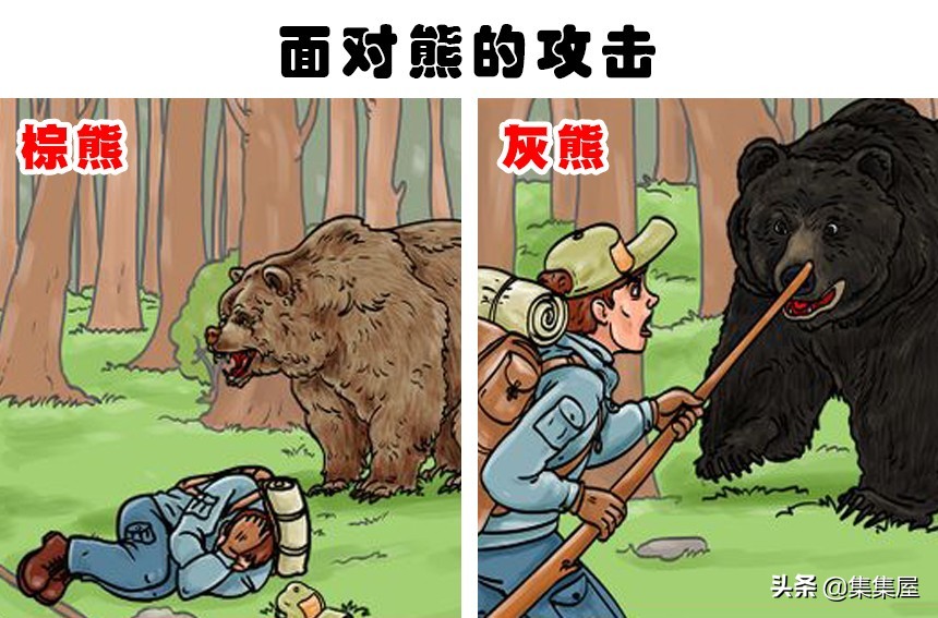紧急情况下如何逃脱汽车后备箱,后备箱被困如何逃生