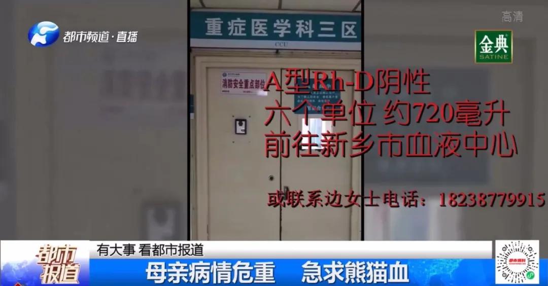 急需熊猫血救命的人,郑州女子失血休克急需熊猫血