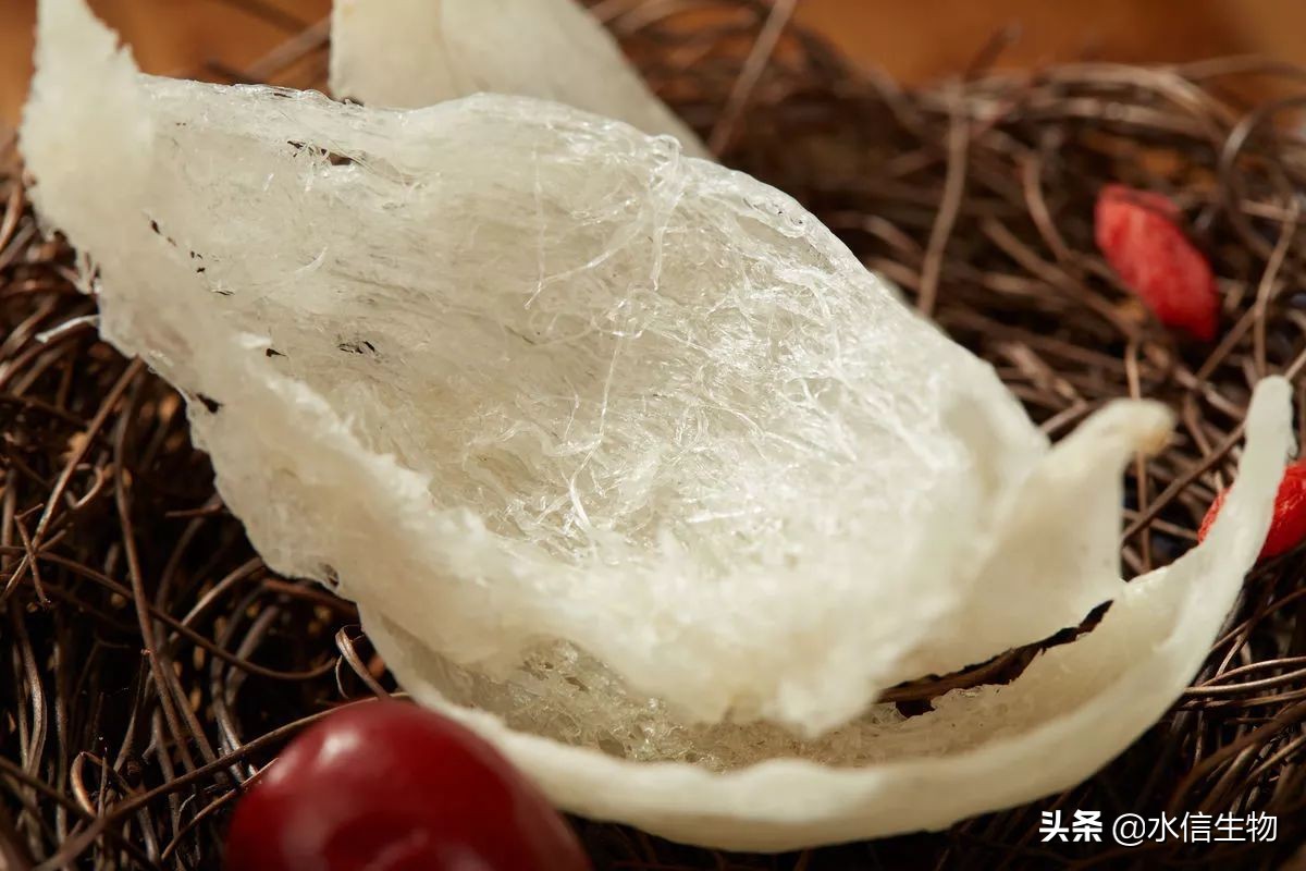 燕窝蛋白补水面膜功效,燕窝蛋白面膜功效