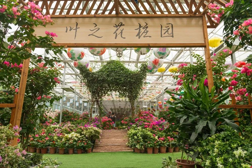 春节看雪旅游3-4天攻略最佳线路,武汉人五一适合去哪旅游
