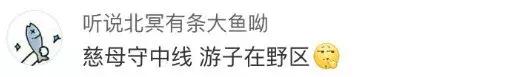 四字id高质量情侣id,超有诗意的情侣id