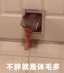 身上的皮肤可以移植到脸上吗,毛发可以移植到头皮吗