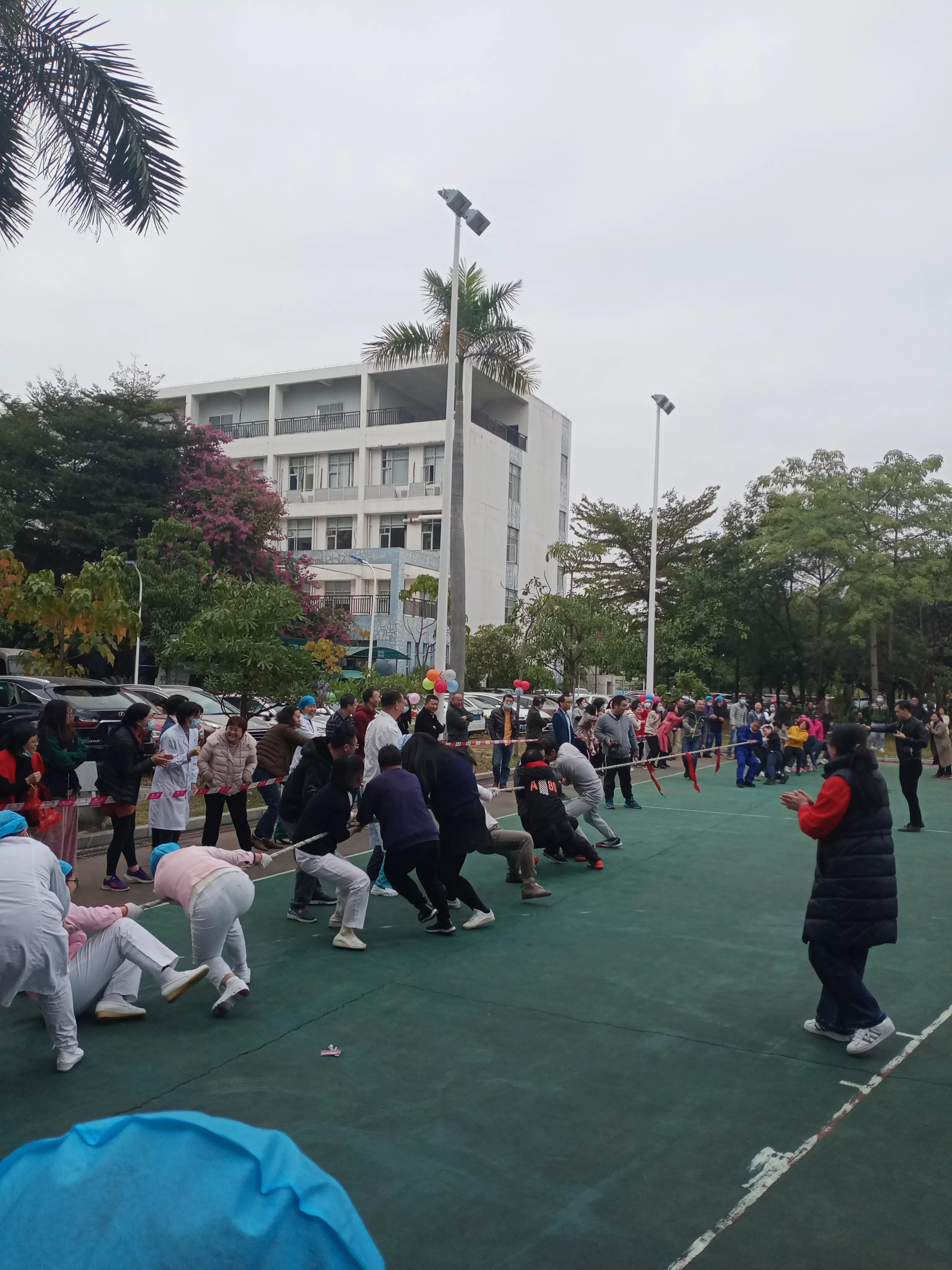 拔河比赛经历,那些年拔河