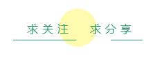 有什么防暑小妙招,狗狗防暑小常识