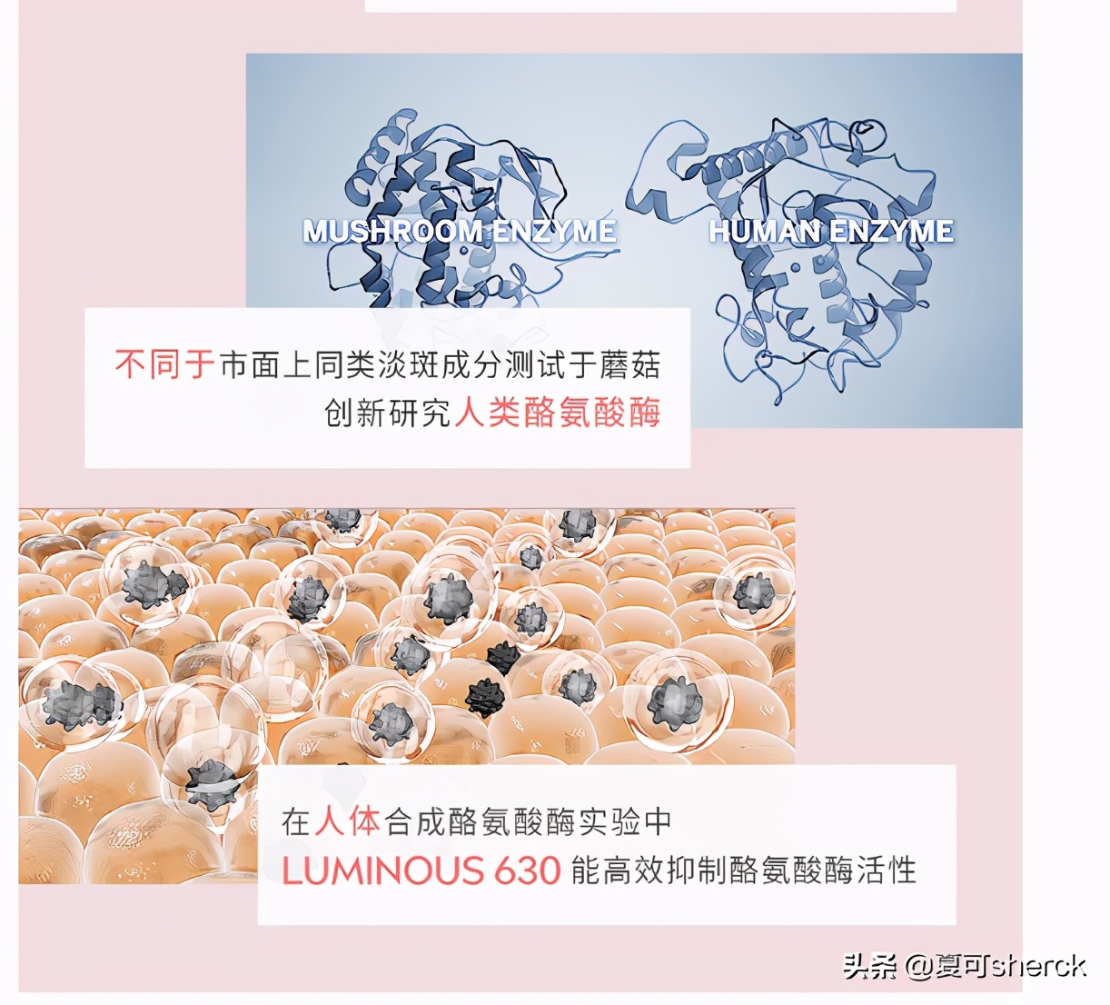 夏可叔叔扒产品人参面霜,夏可叔叔扒过最抗老的面霜