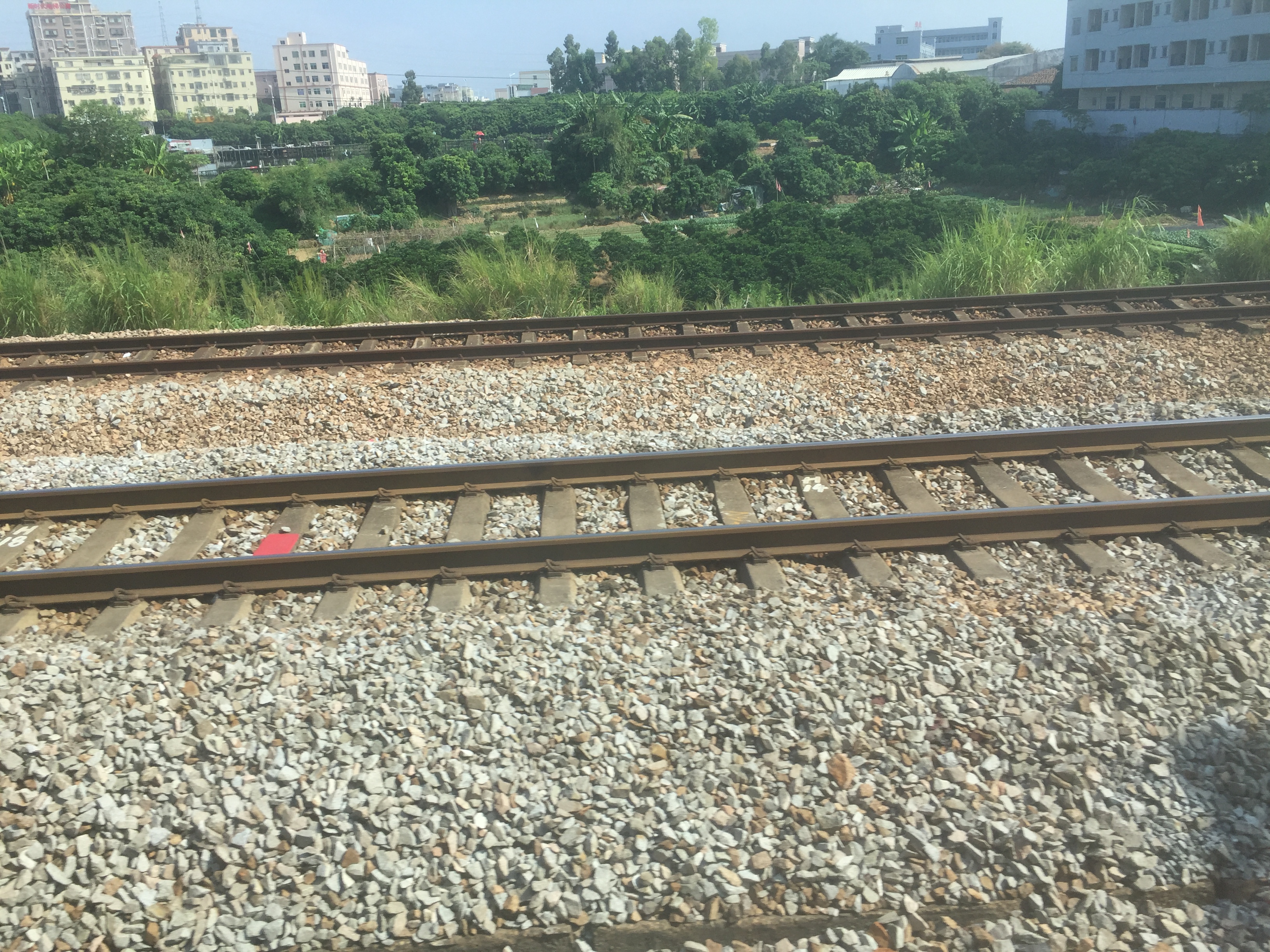 广州一日游票价,广州出发一日游700元