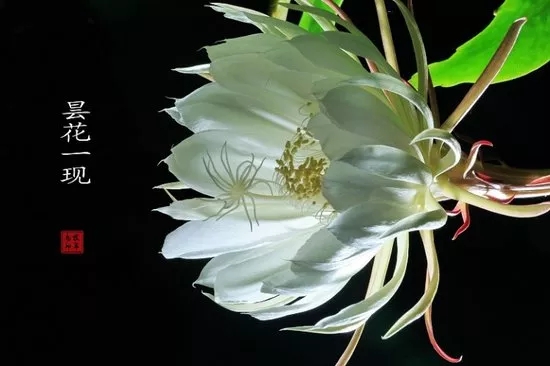 探寻老建筑的视频,探寻古代老建筑