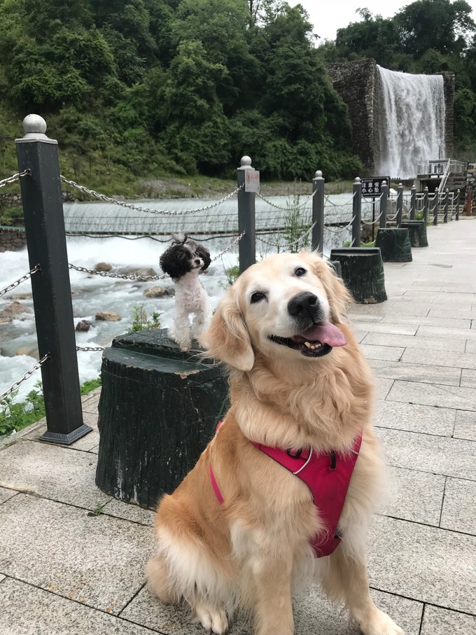 成都喇叭河自驾,自贡到喇叭河自驾