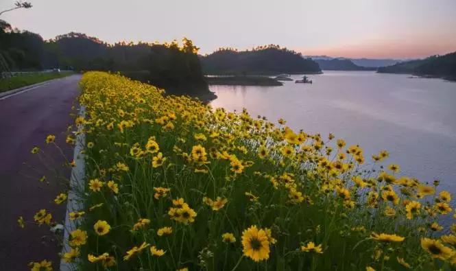 邂逅秋天的千岛湖！光看图已美醉，住这7家美宿避开人群赏湖景山色