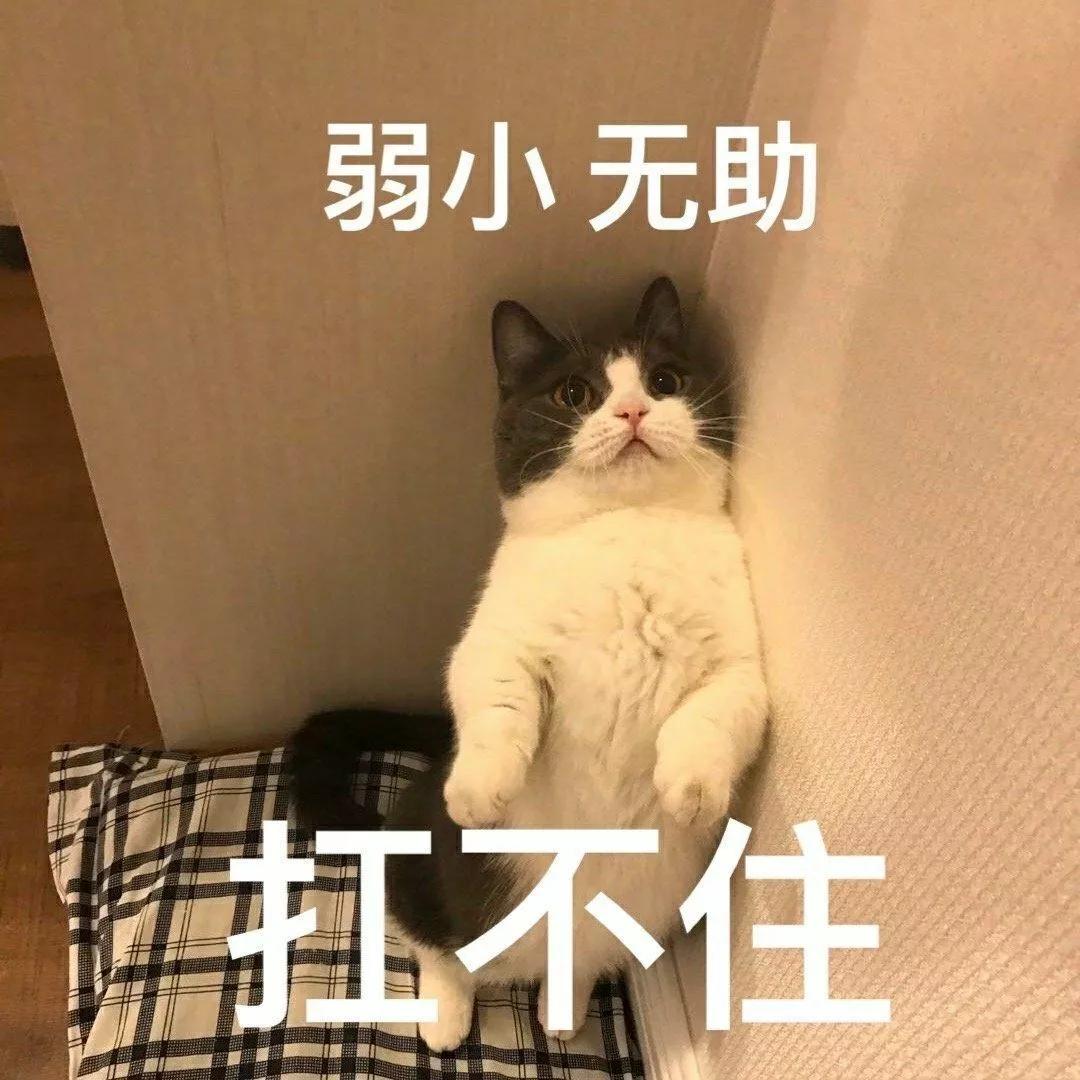 闲鱼卖货赚钱攻略,闲鱼闲置衣服怎么卖