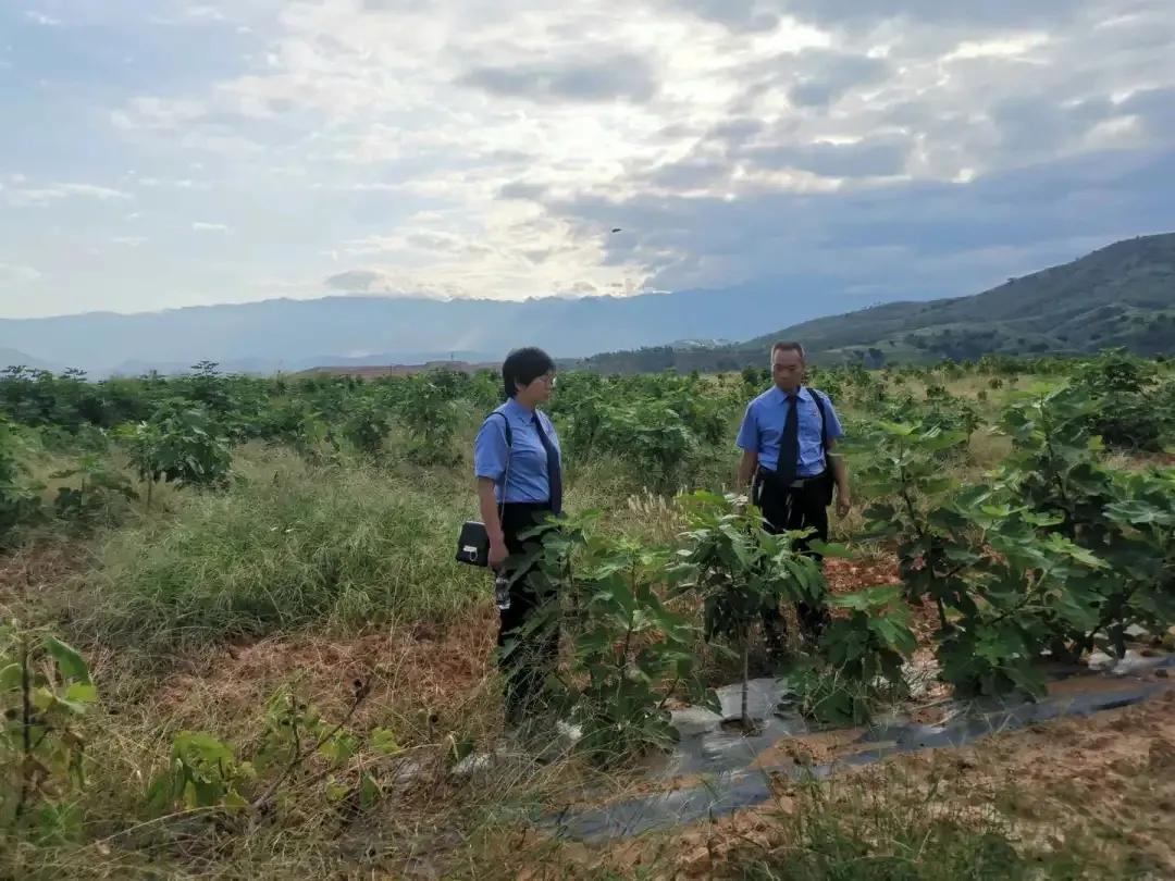 公益林损坏如何处理,关于林地被破坏的情况通报