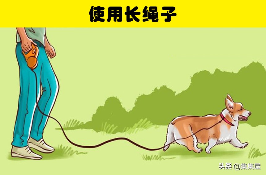 狗狗总是撑开牵引绳,狗狗老是挣脱脖套背带怎么办