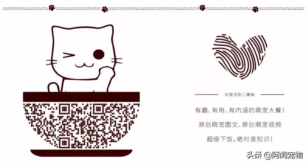 养宠物的哪个瞬间让你最崩溃,养宠物的24个扎心日常