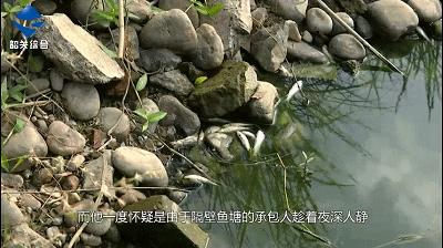追踪|价值23万的雪鲮意外死亡！水质监测报告已出，谁之过？