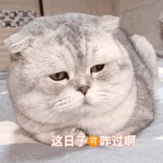 深圳冷空气最新消息持续多久,深圳回南天除湿最好的方法
