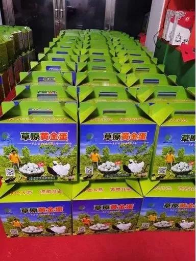 带头人才能、产品滞销、预期压力与政策建议——基于兴安盟扎赉特旗鸿德乌鸡养殖孵化合作社的抗疫反馈