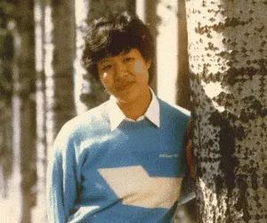 夺冠郎平说内心不强大台词,郎平15年带领中国队夺冠采访