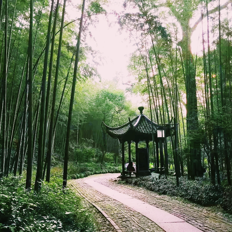 杭州适合散步小众景点,杭州人少景美的小众旅行地