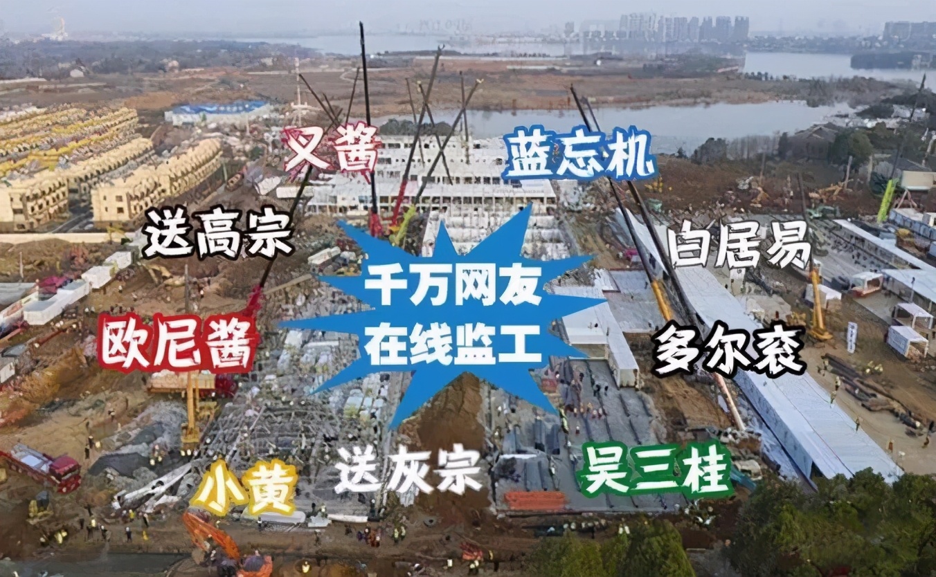 这些年网络流行词,这些年的网络热词