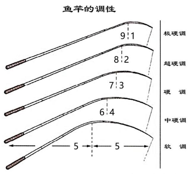 鱼竿调性什么意思,怎么选鱼竿鱼竿的调性和硬度