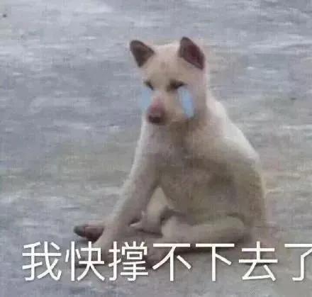 想回学校不想上班表情包,老师周日不想上班表情包