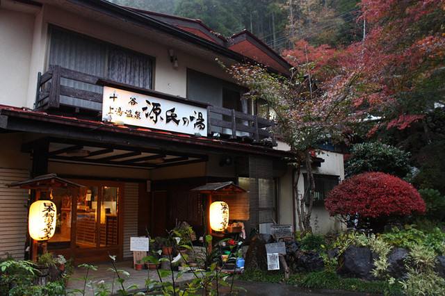 约上闺蜜一起去看看,大阪到奈良小鹿公园