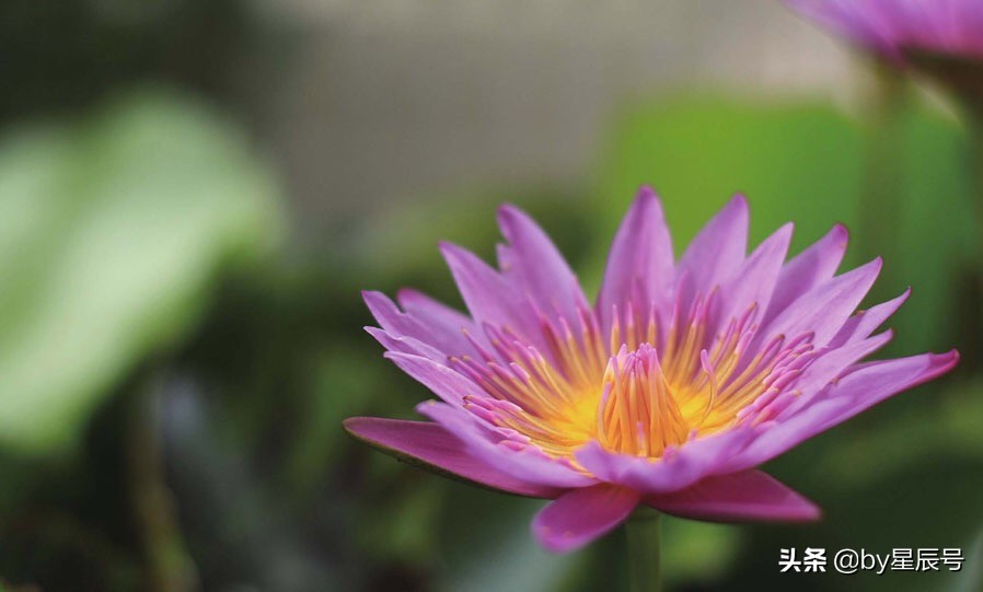 尼康佳能索尼高端长焦相机,佳能索尼尼康哪个相机好