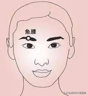 中老年人眼病的防治知识,中老年眼病怎么治