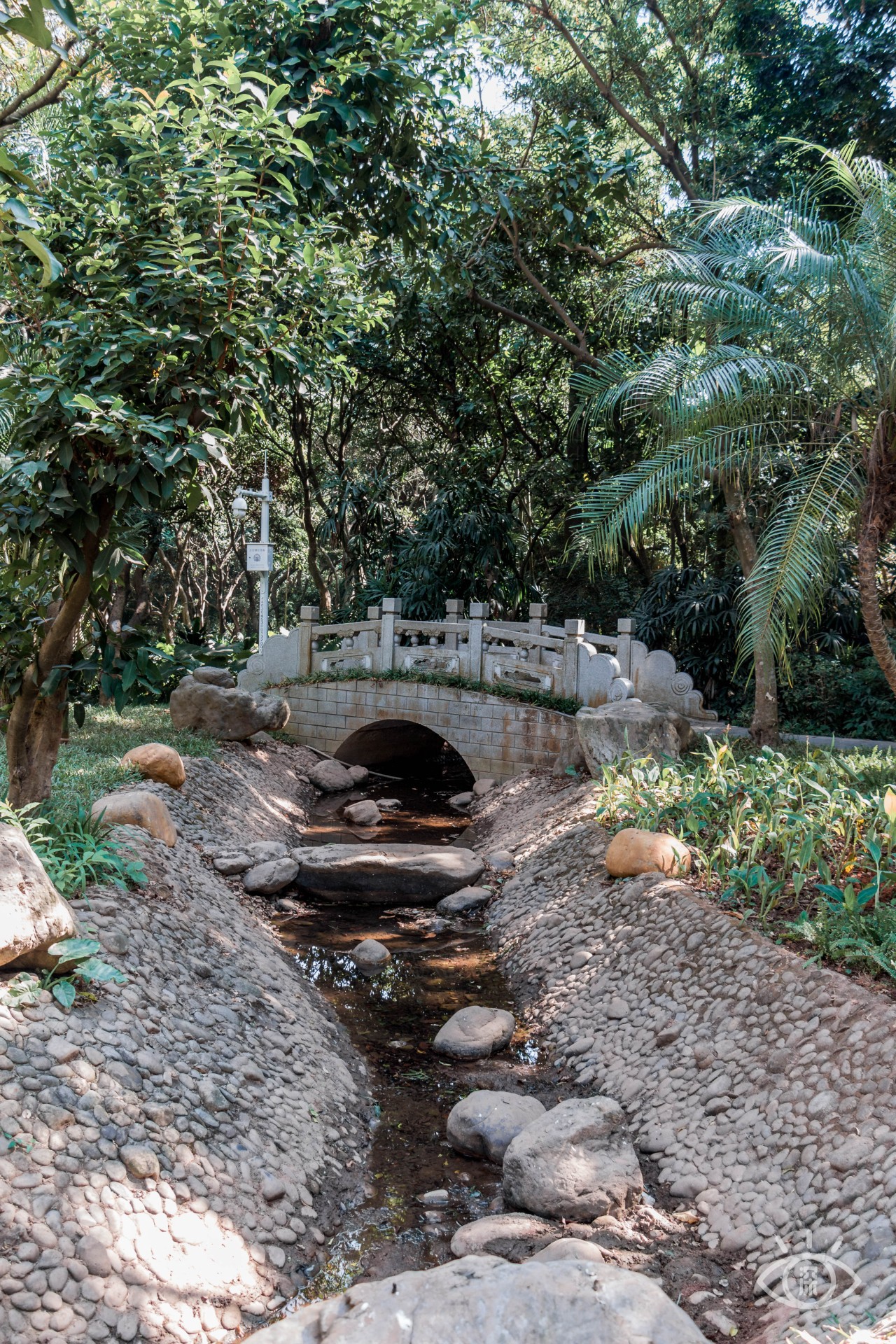 深圳十大顶级公园,深圳市十大风景公园排名