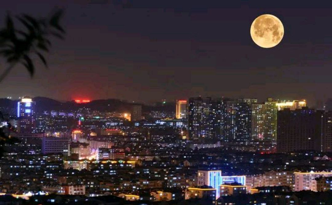 时光悠悠，四首月亮的古诗，读着读者就老了